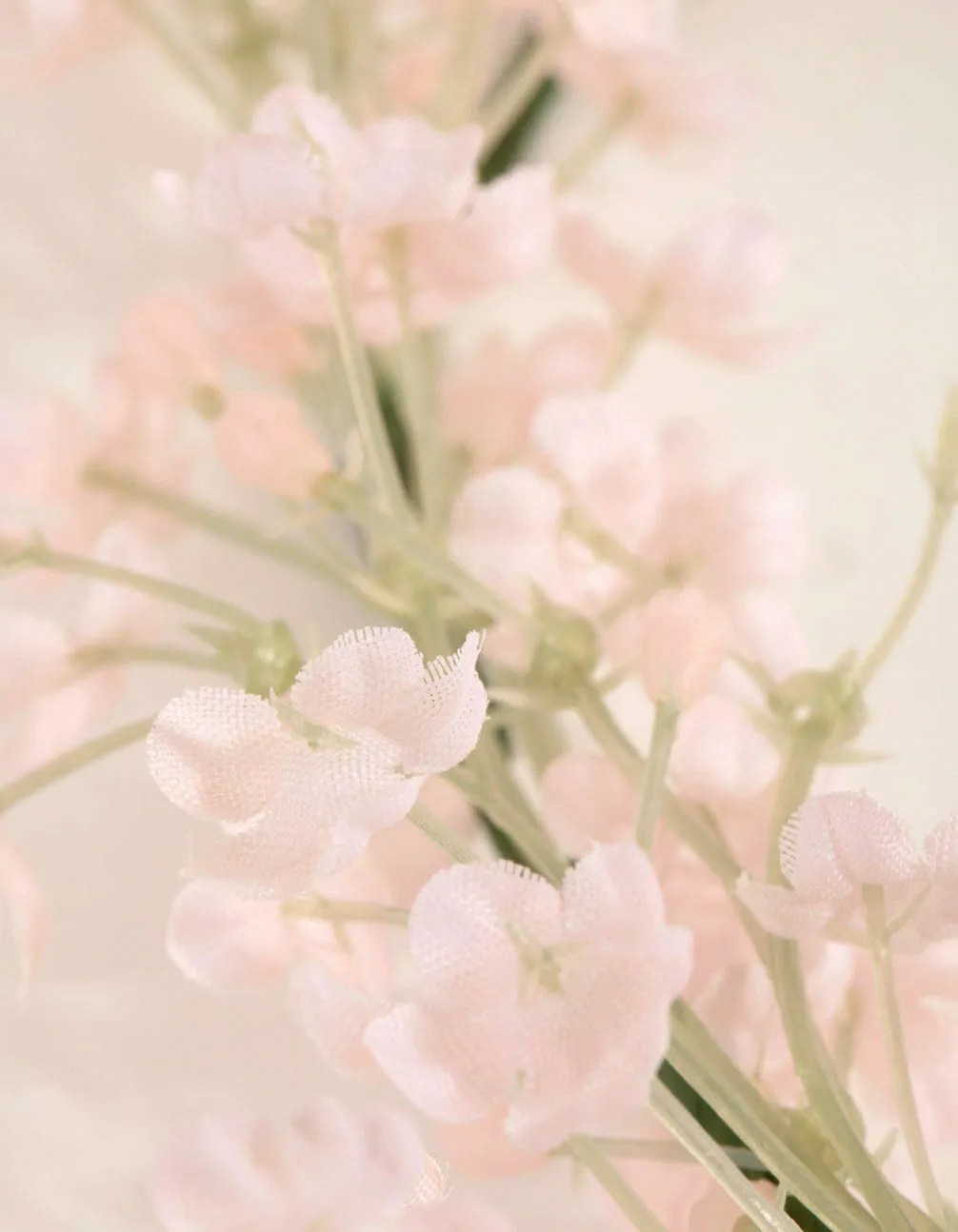 Blush Blossom Crown